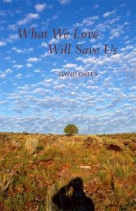 Book Cover of What We Love Will Save Us by David Oates